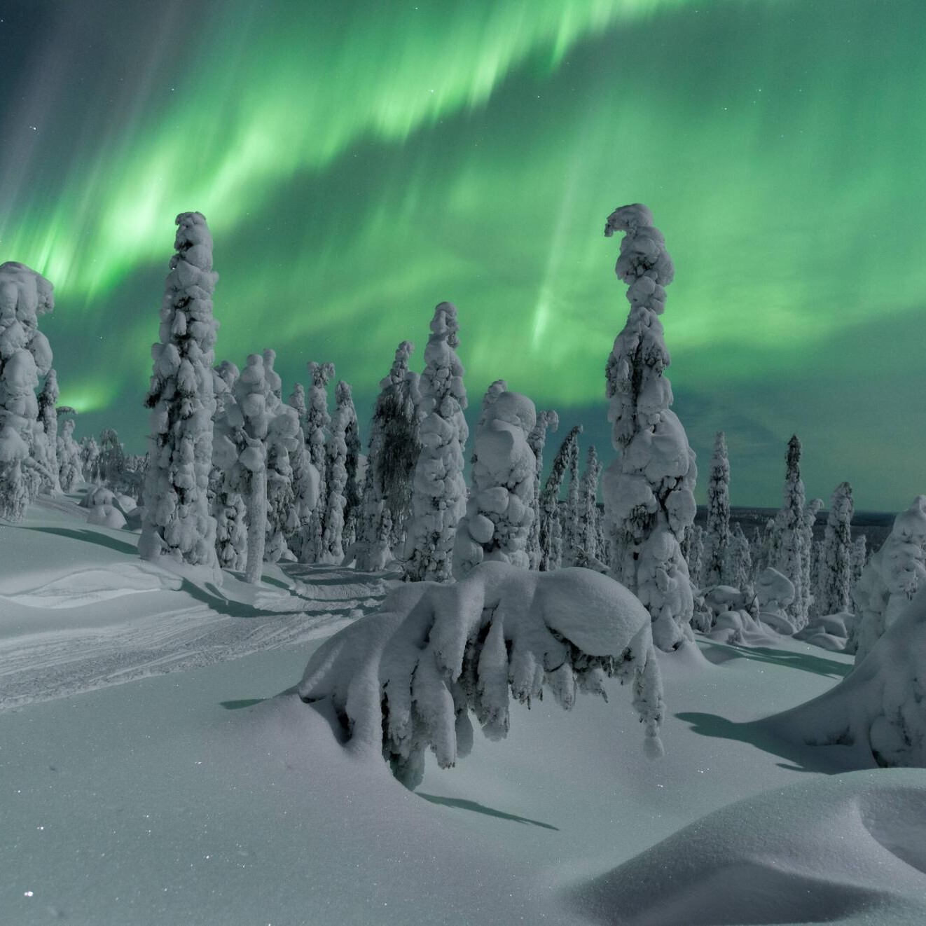 Auroras Rovaniemi