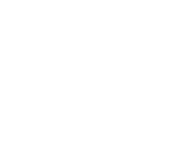 Visit Rovaniemi
