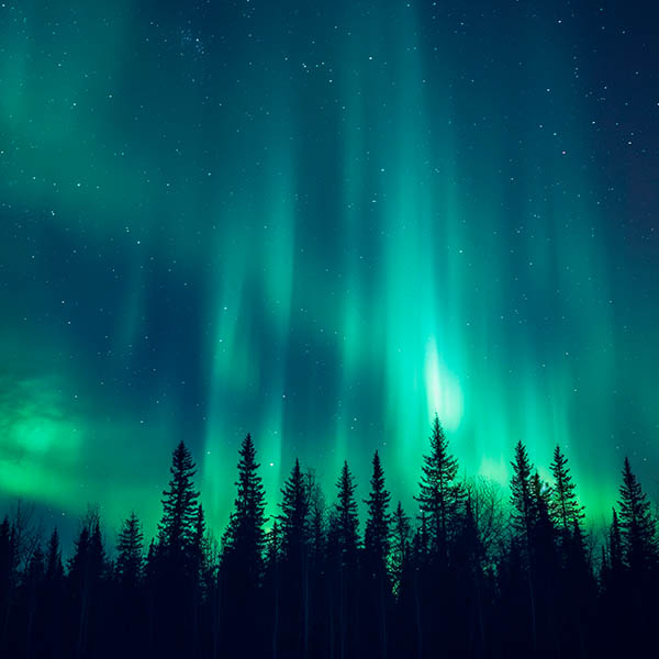 Aurora Hunting in Rovaniemi