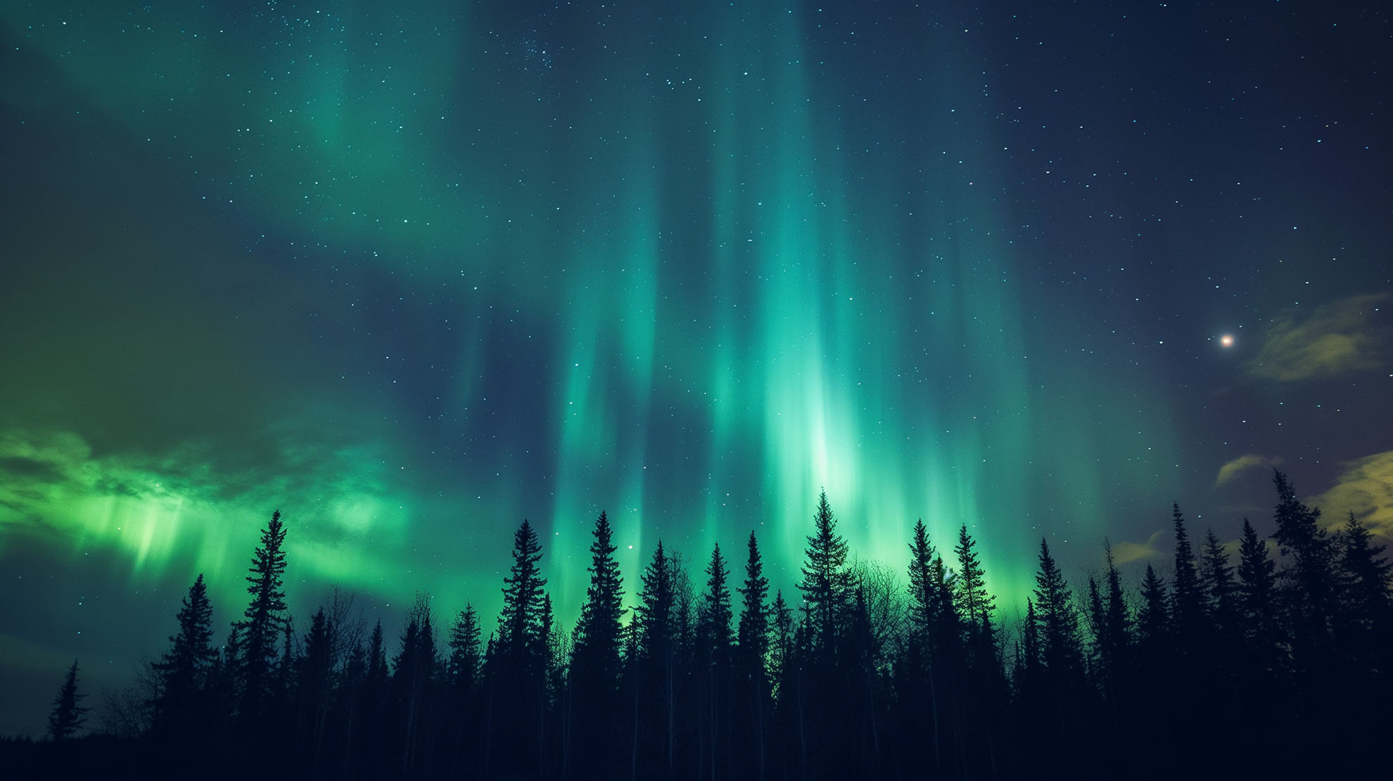 Safari in Rovaniemi.