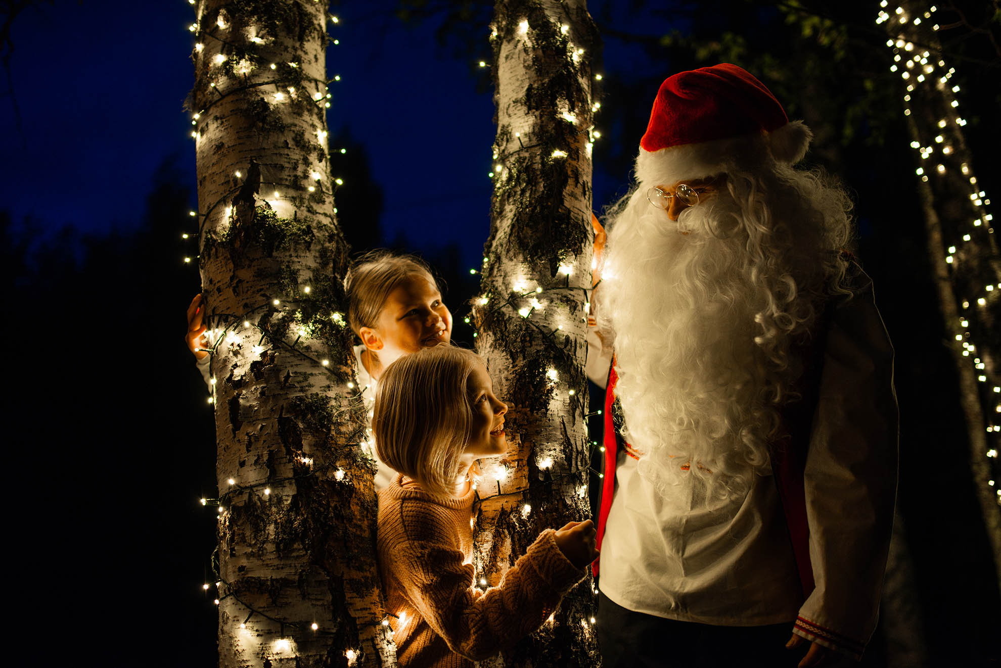 Christmas Cabin Rovaniemi