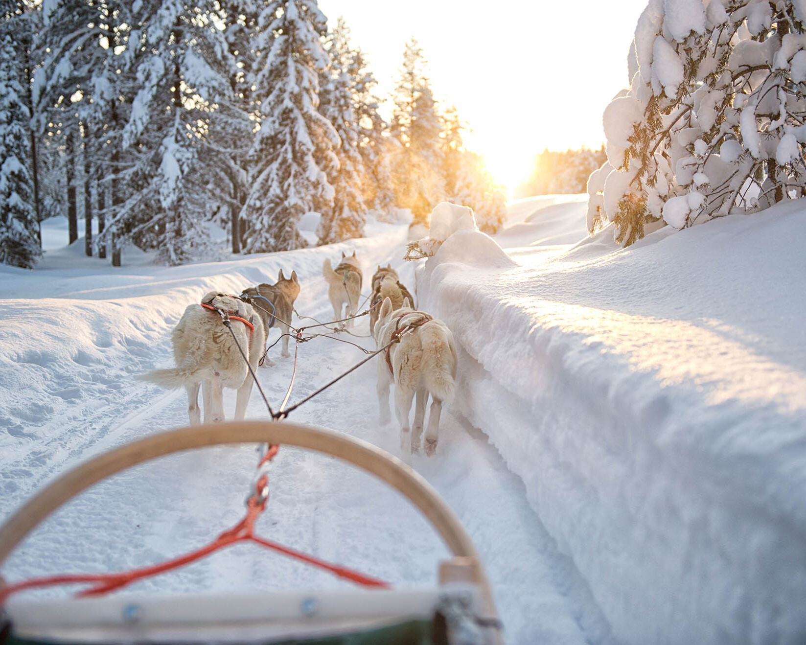 Group tours in Rovaniemi