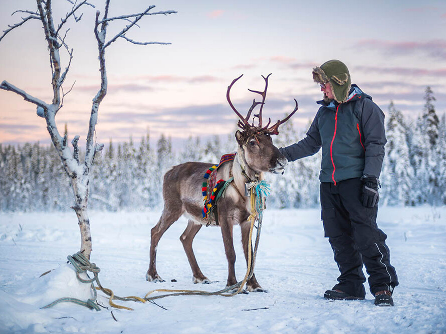 Tour leader in Rovaniemi