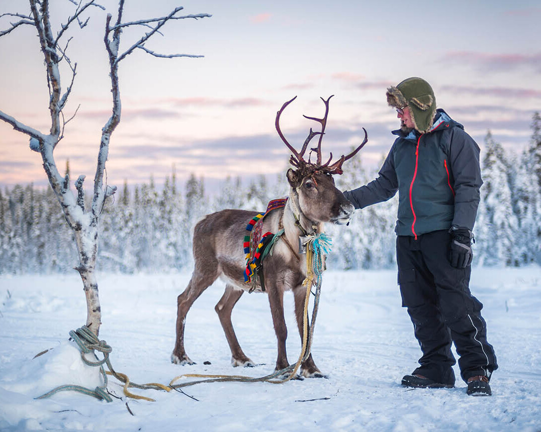 Lapland Travel Package