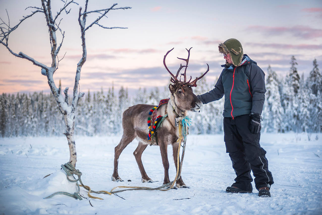 Lapland Travel Package