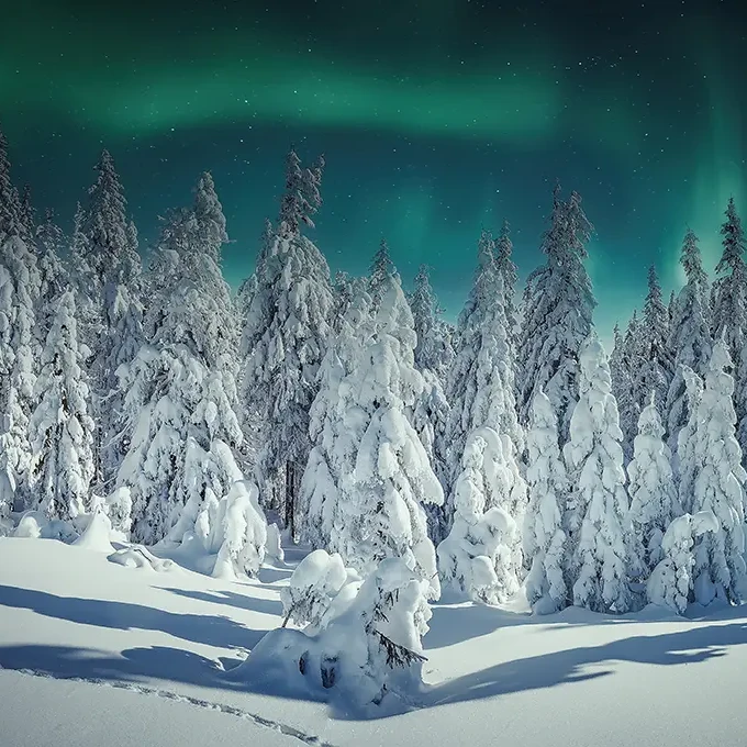 Northern Lights hunting in Finland